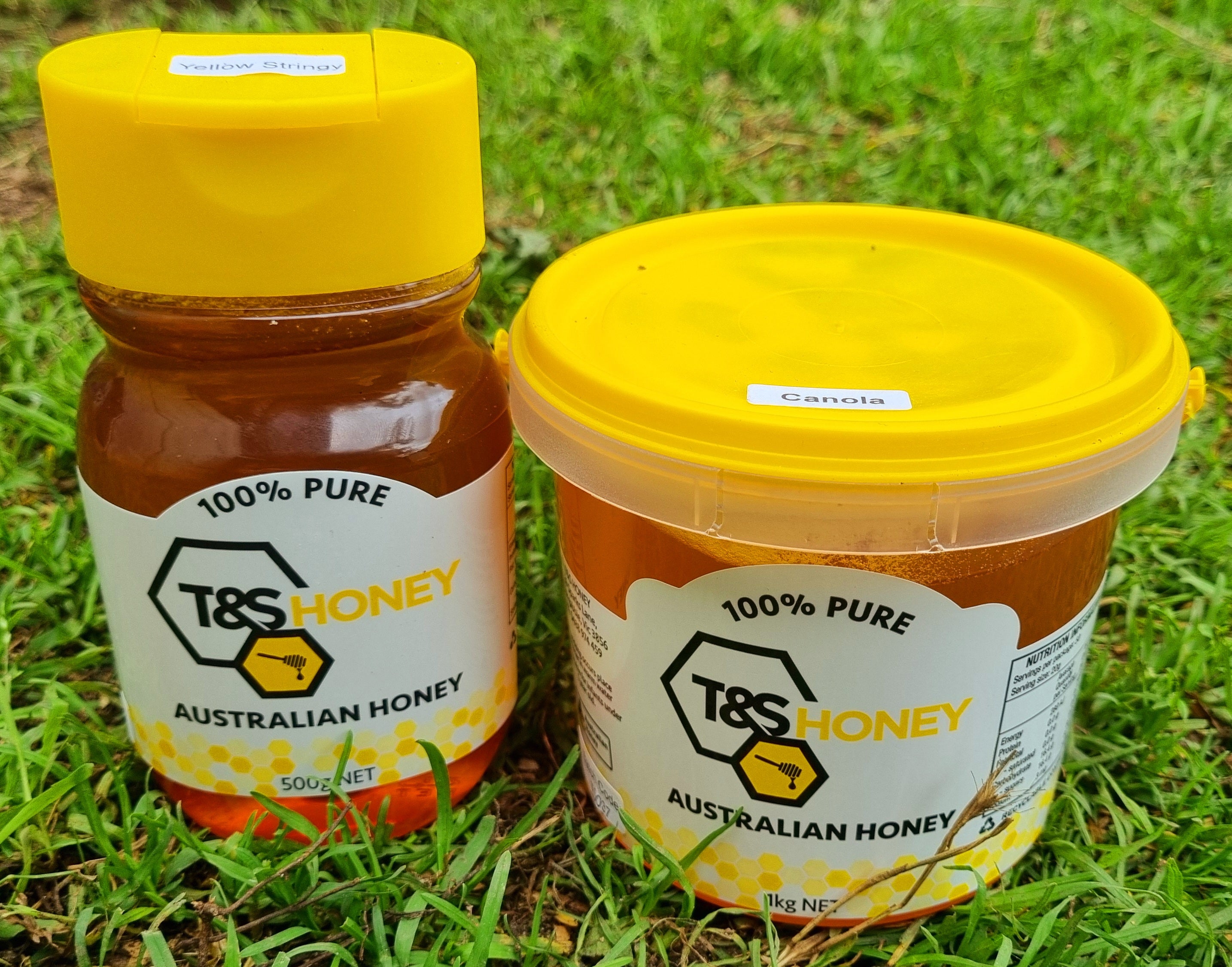 T & S Honey