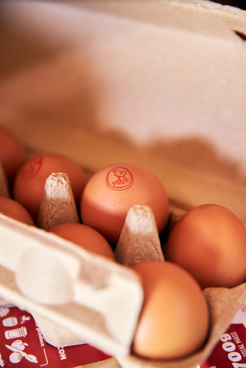 Free Range Eggs