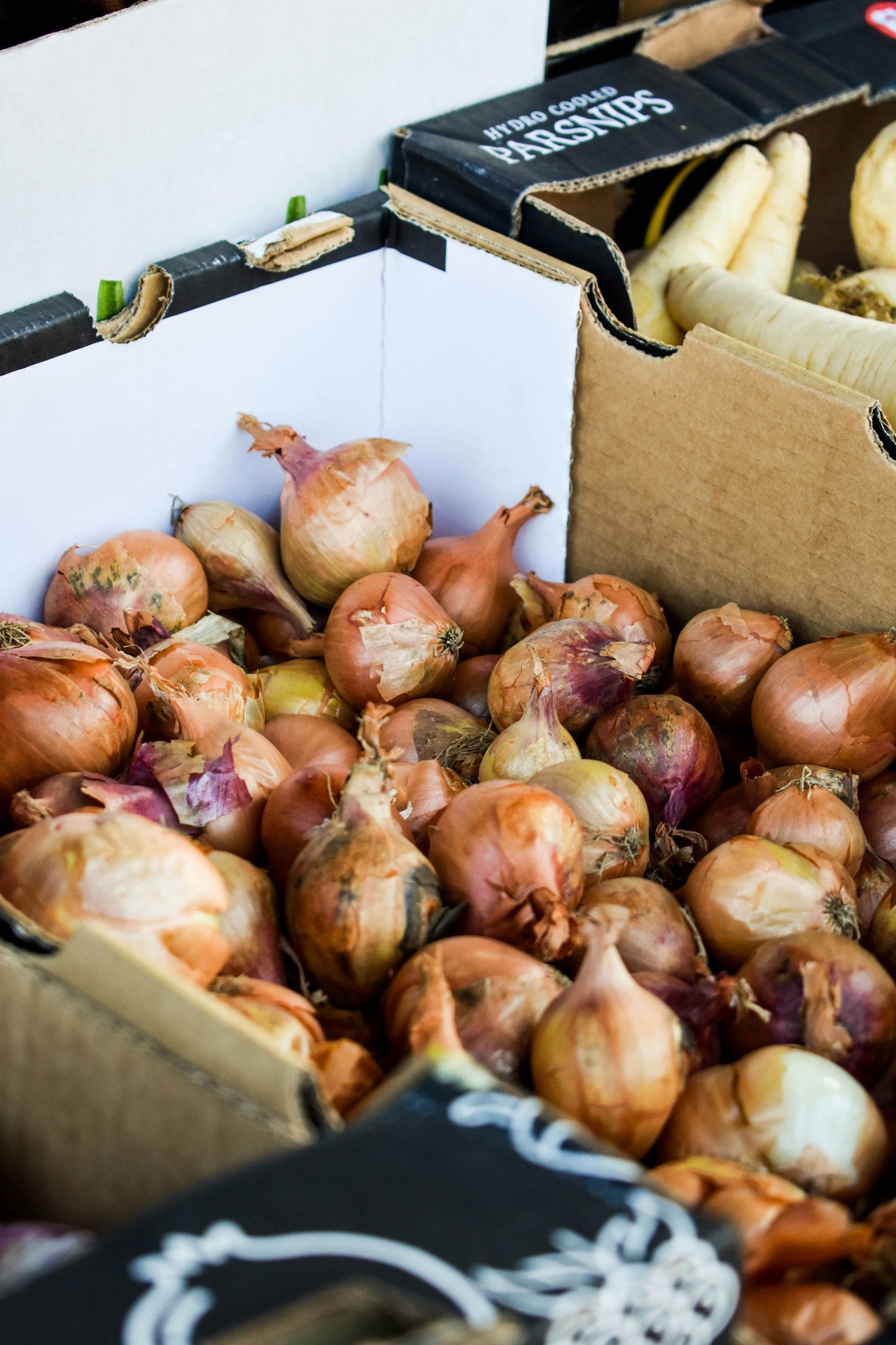Brown Onions