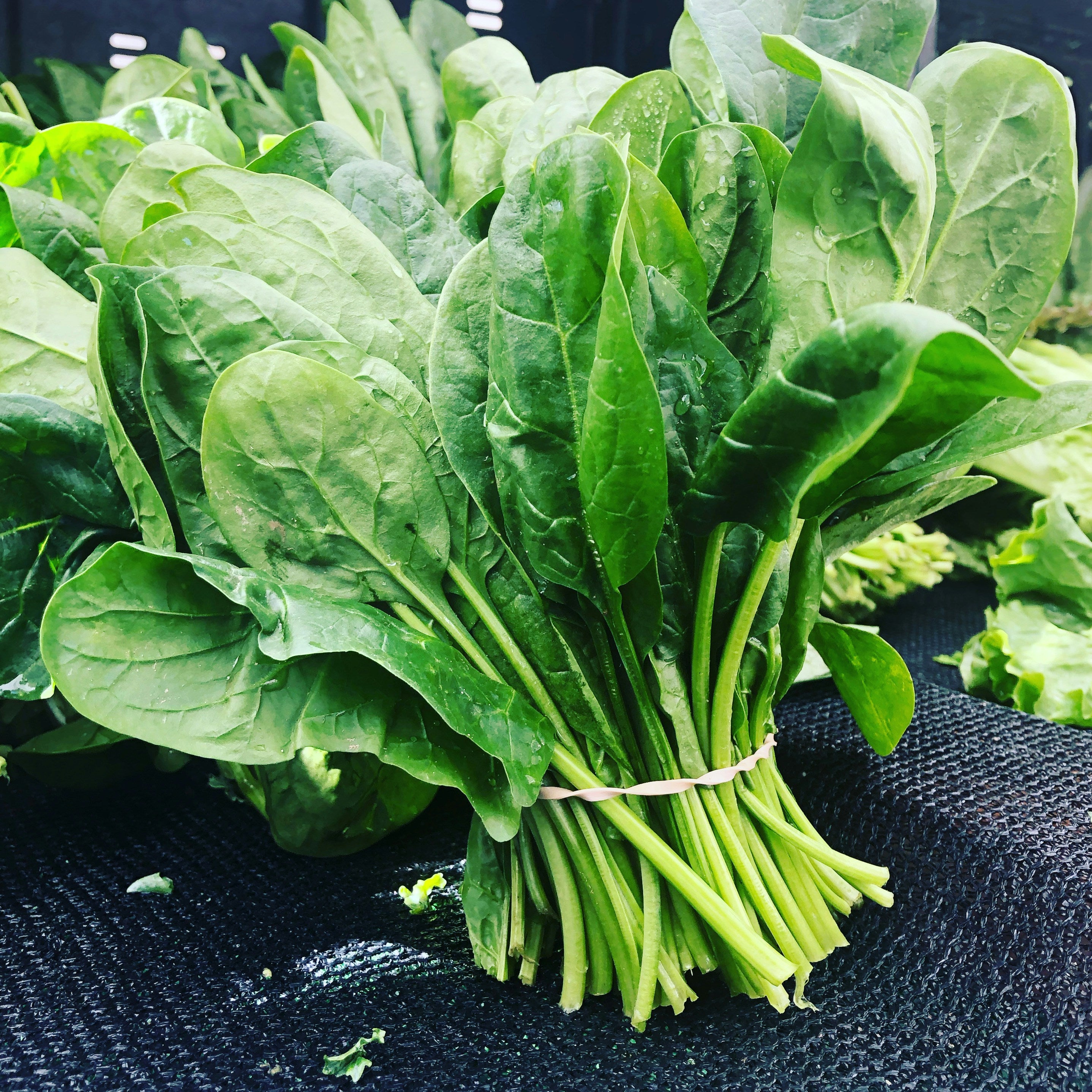 Spinach Bag